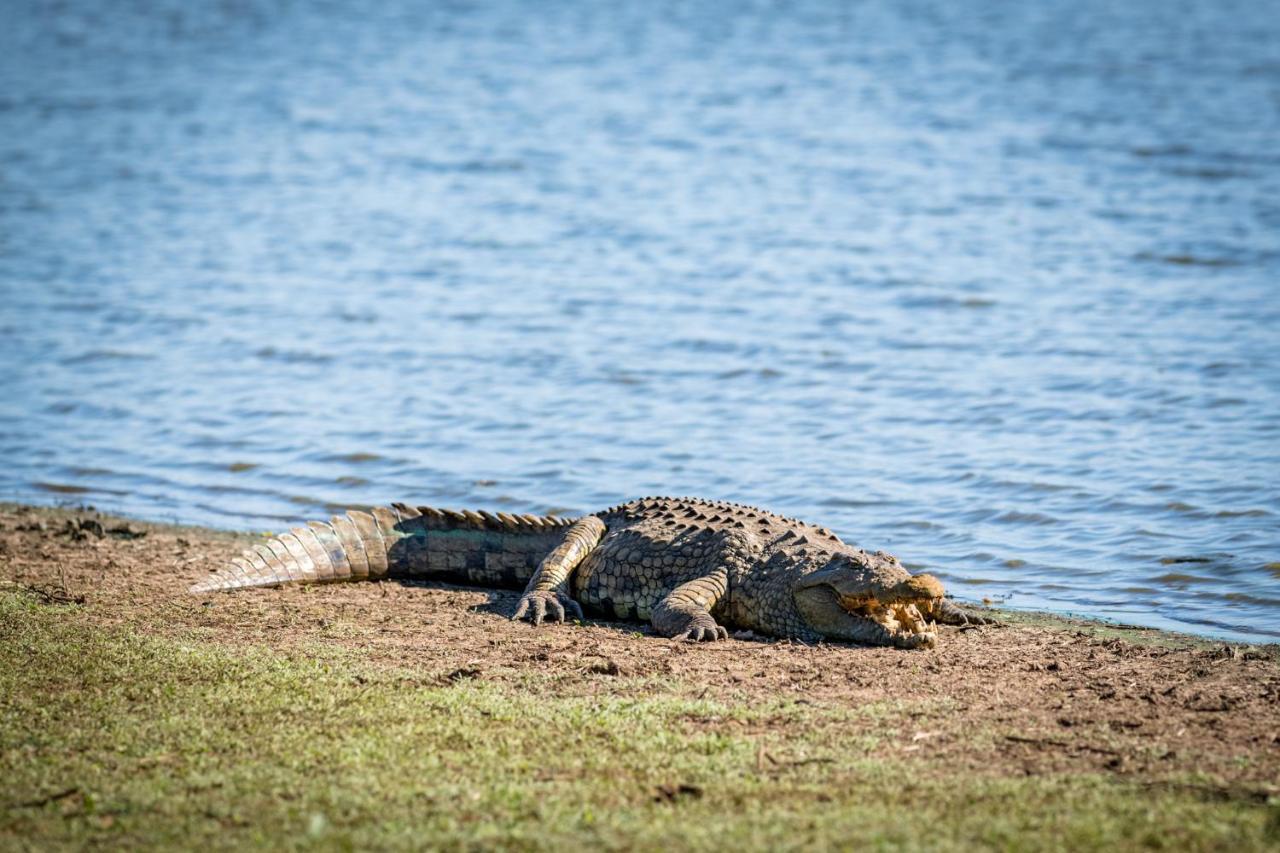 Nkuhlu Tented Camp Skukuza Bagian luar foto