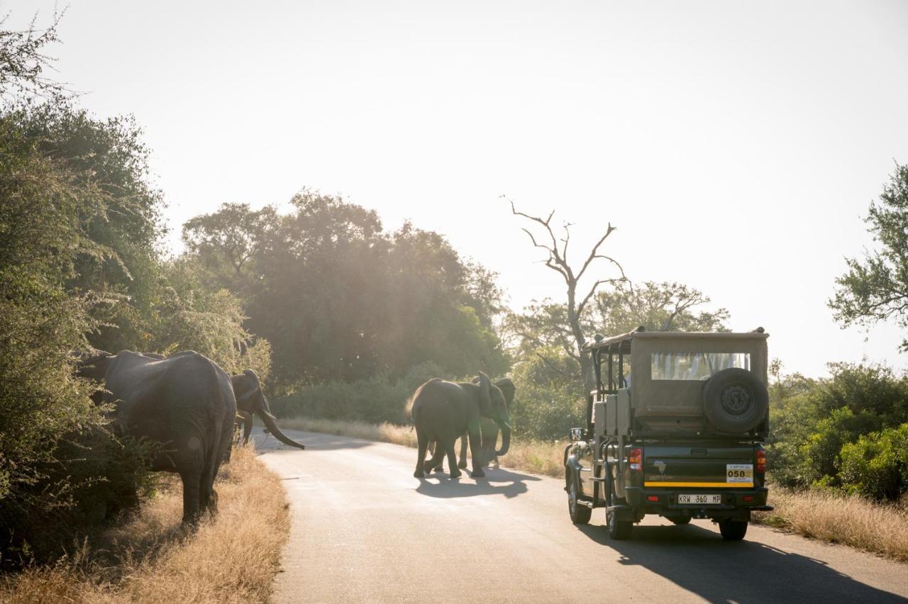 Nkuhlu Tented Camp Skukuza Bagian luar foto