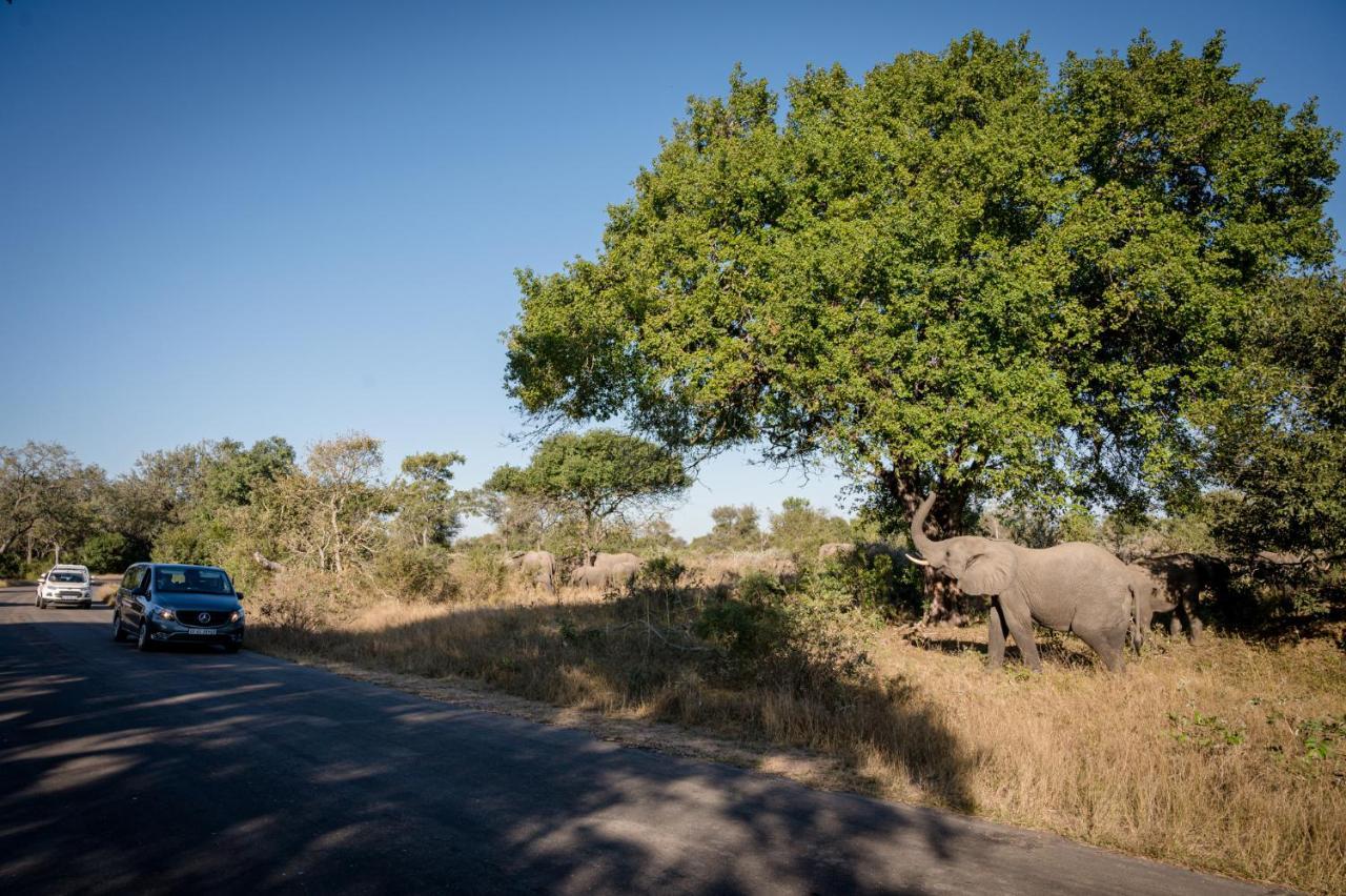 Nkuhlu Tented Camp Skukuza Bagian luar foto