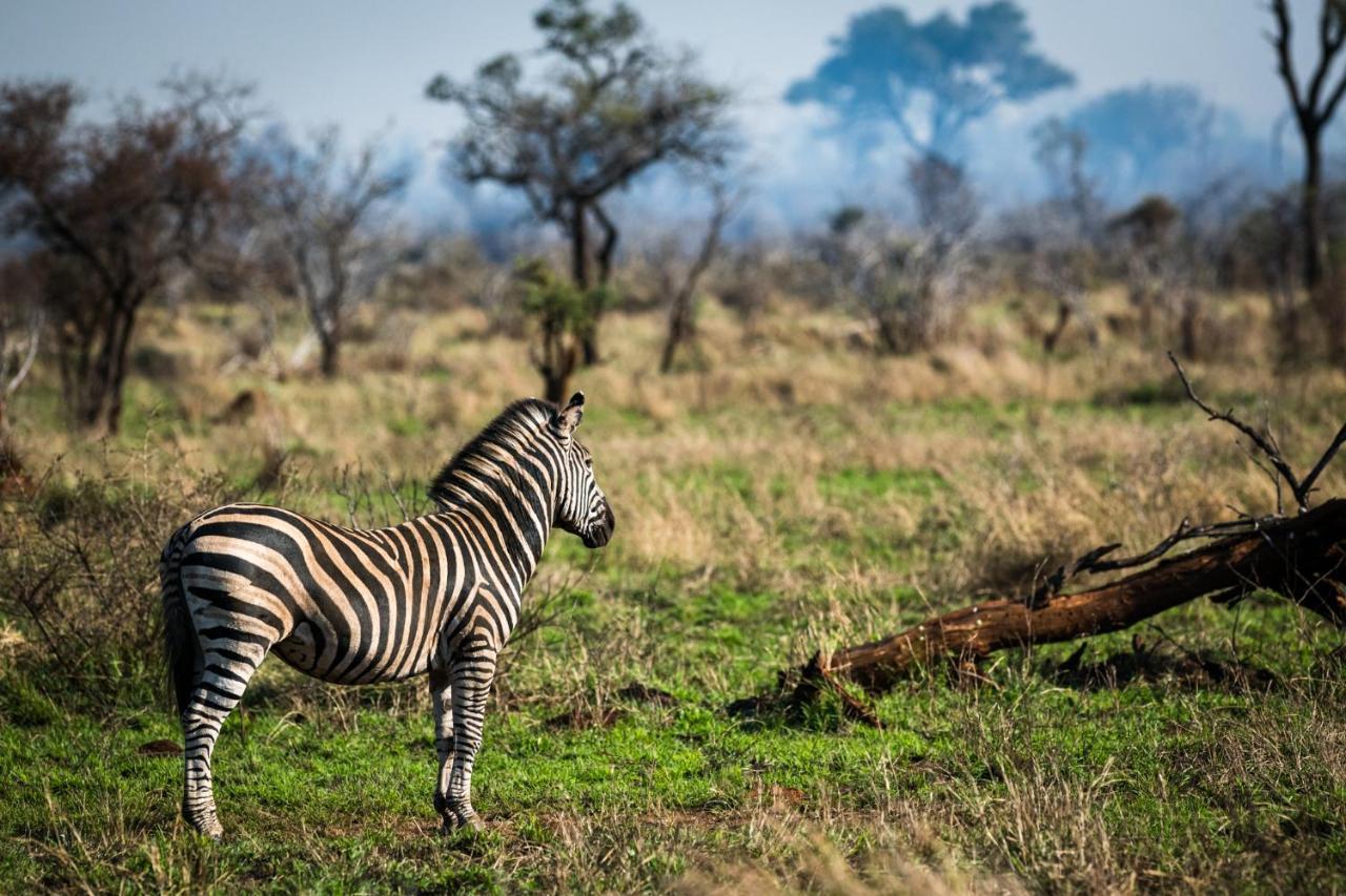Nkuhlu Tented Camp Skukuza Bagian luar foto