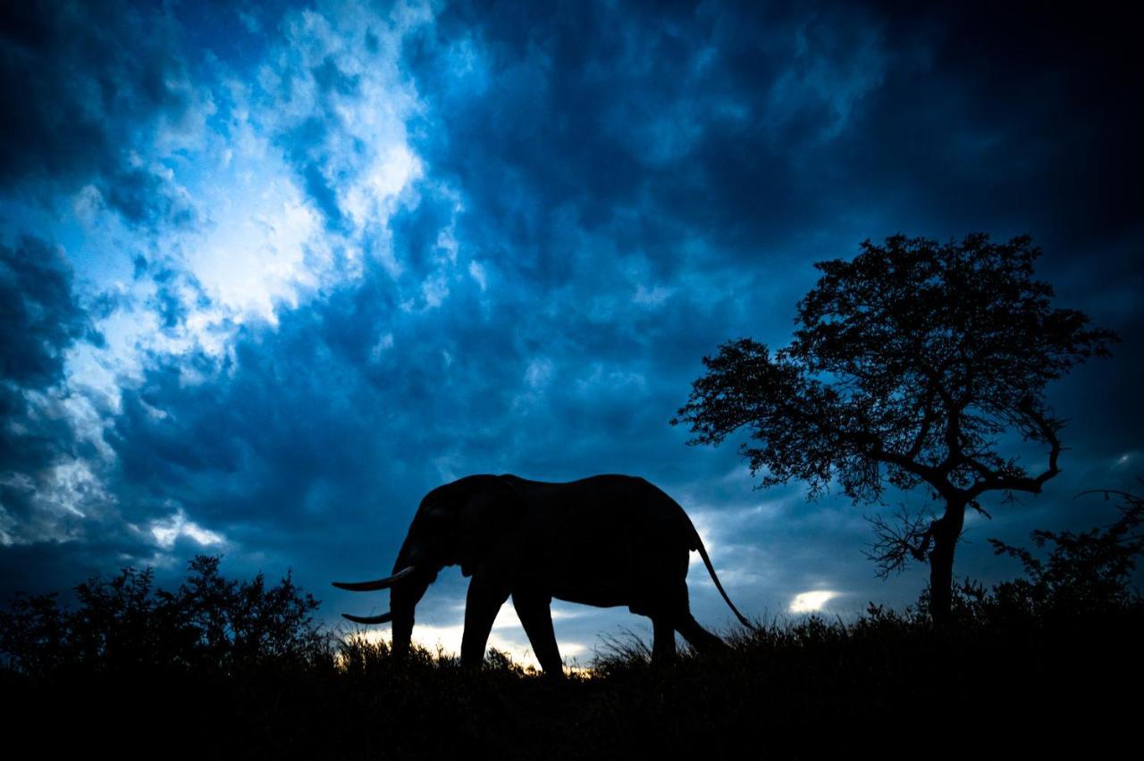 Nkuhlu Tented Camp Skukuza Bagian luar foto