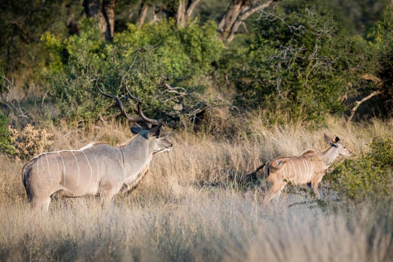 Nkuhlu Tented Camp Skukuza Bagian luar foto