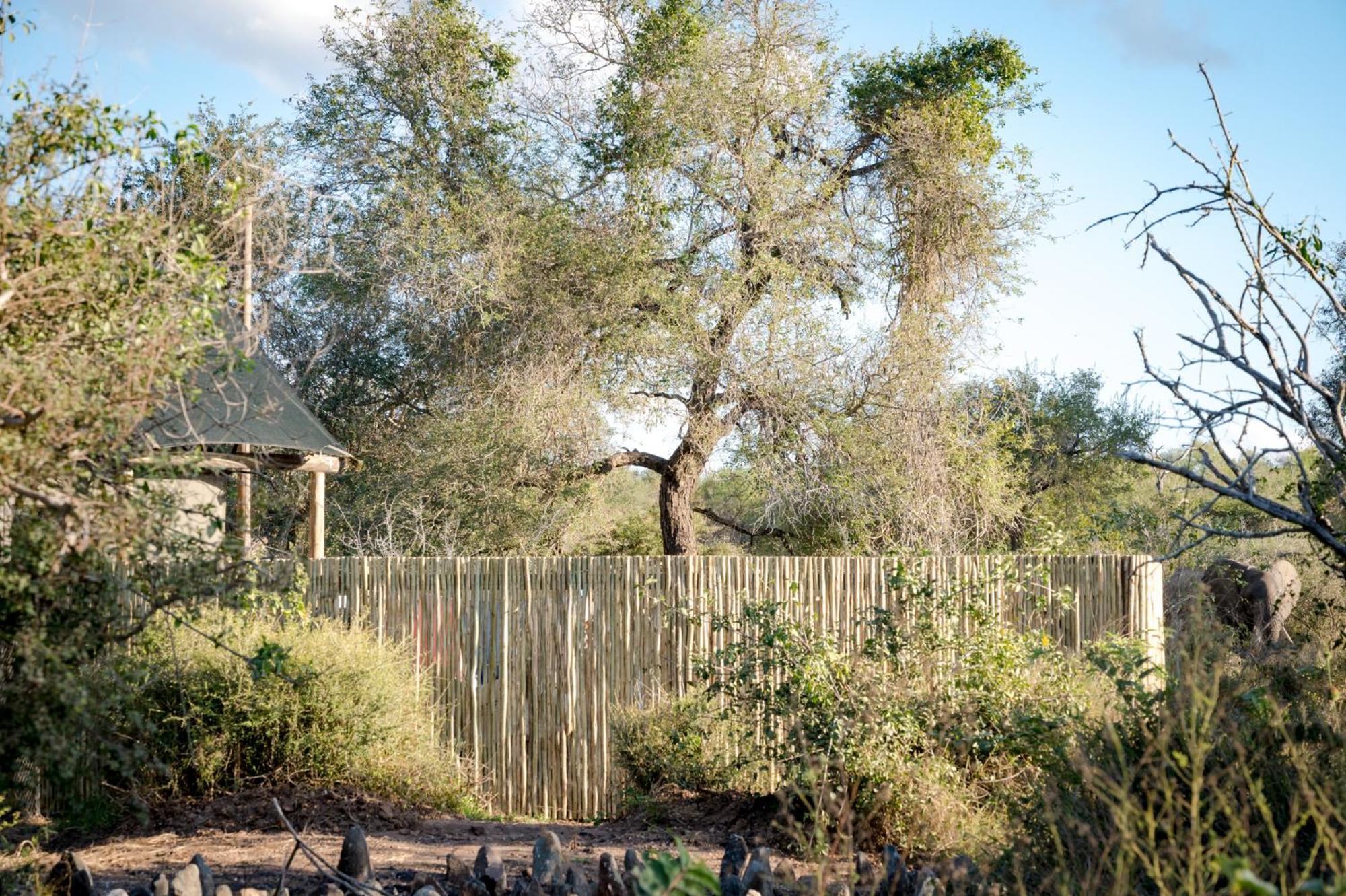 Nkuhlu Tented Camp Skukuza Bagian luar foto