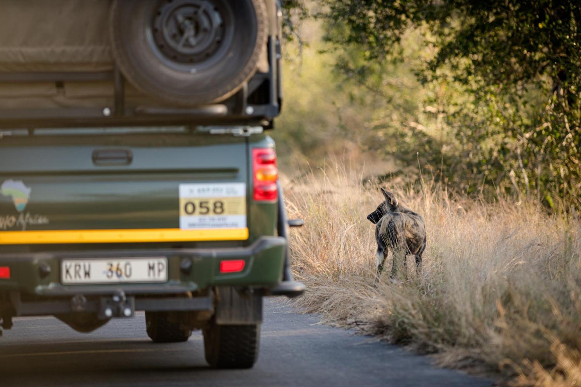 Nkuhlu Tented Camp Skukuza Bagian luar foto